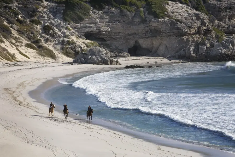 Walker bay nature reserve near gansbaai
