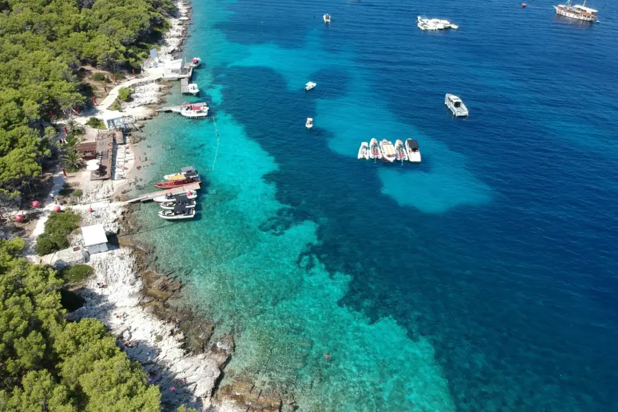 Alexandre contador 1jq08mp 29q unsplash