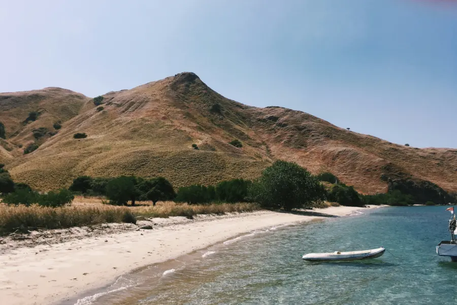 Marcella oscar q00flmhnr m unsplash