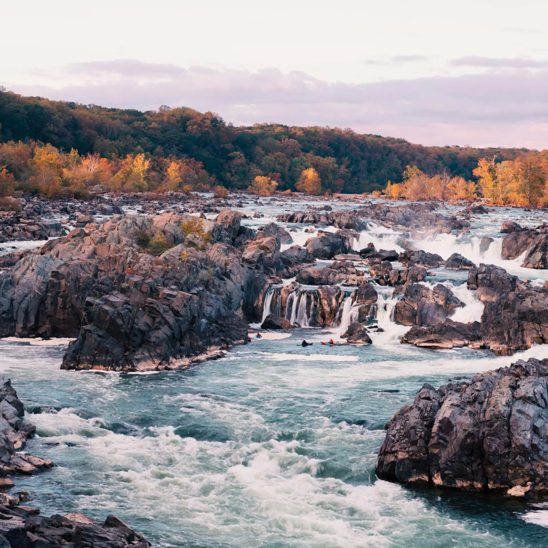 Srini somanchi d ZV 6 Gu Ir M unsplash