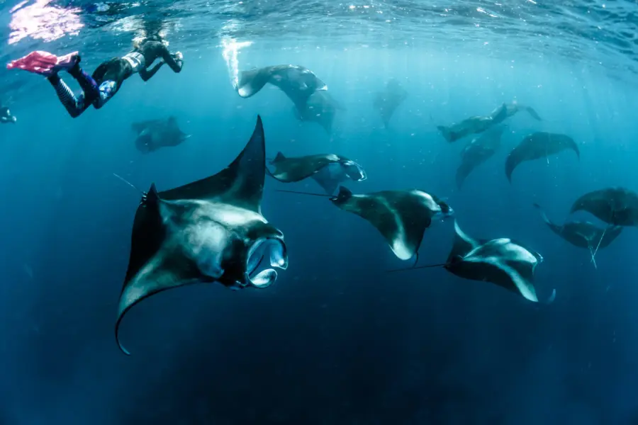 Sebastian pena lambarri f54xlcv9wq0 unsplash