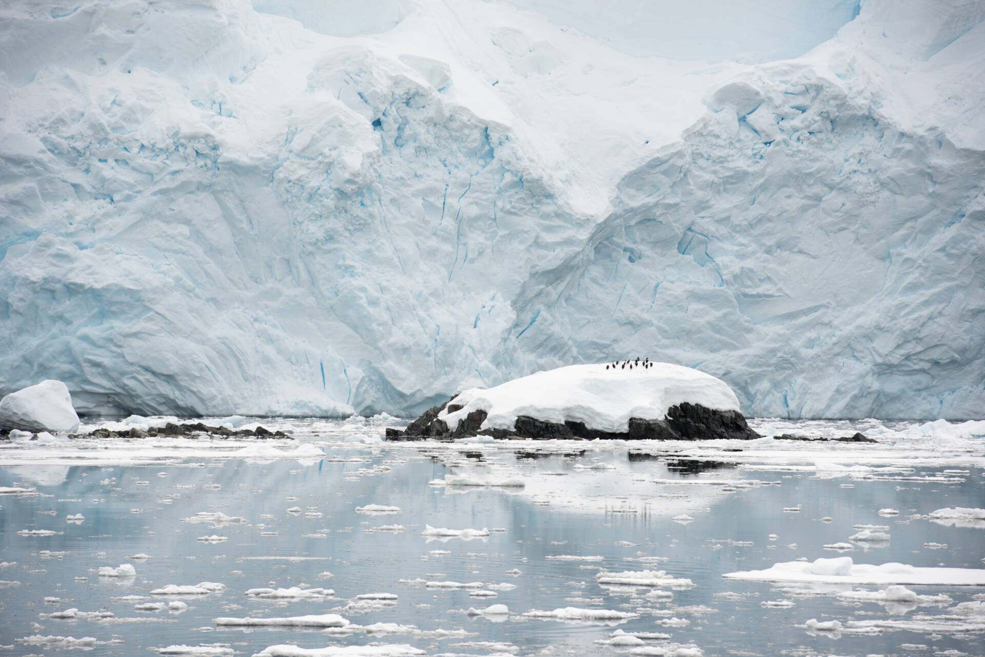 Antarctica